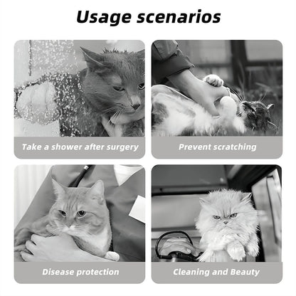 Pet Elizabethan, Pet Medical Collar