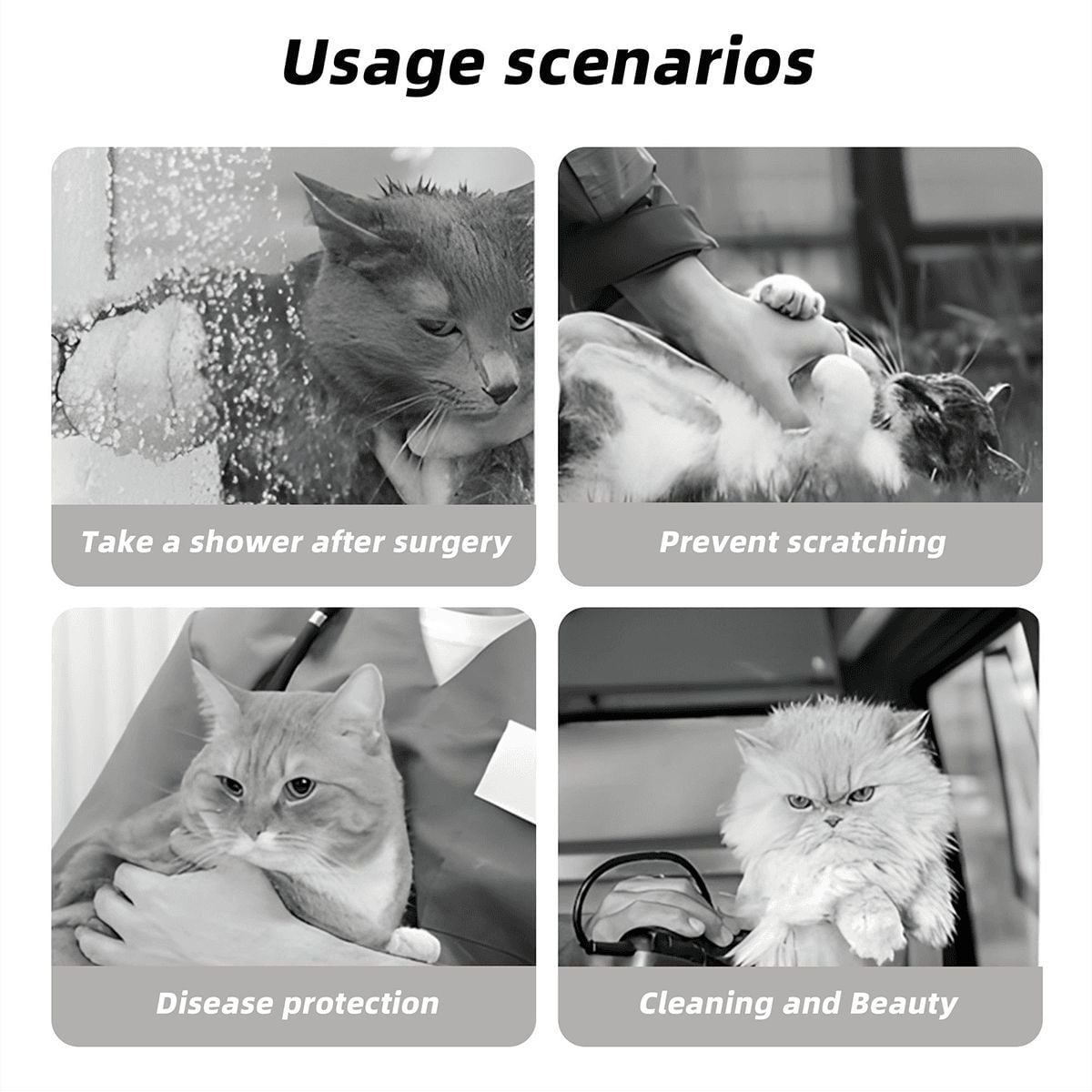 10 Animal Designs, Pet Elizabethan, Pet Medical Collar