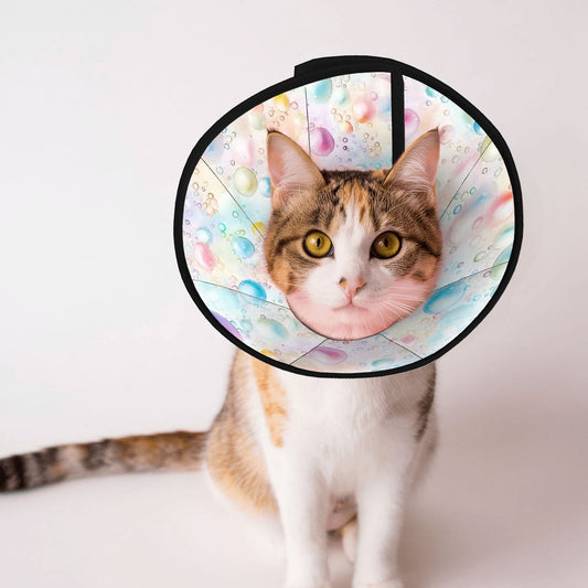 Bubble Design, Pet Elizabethan, Pet Medical Collar