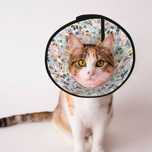 10 Animal Designs, Pet Elizabethan, Pet Medical Collar