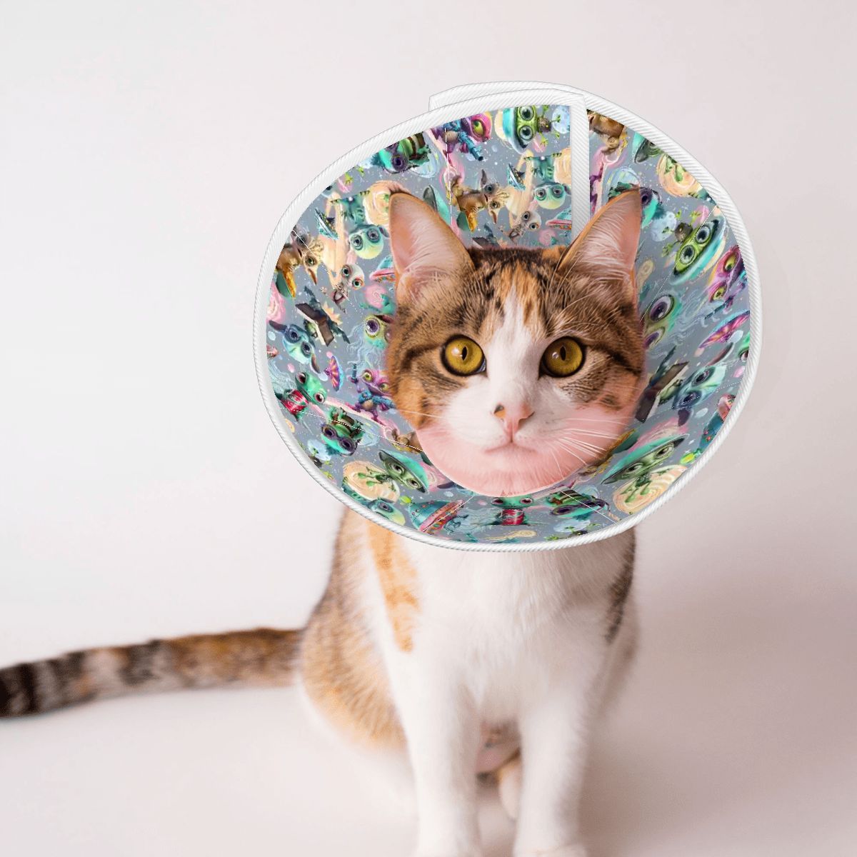 6 Alien Designs, Pet Elizabethan, Pet Medical Collar
