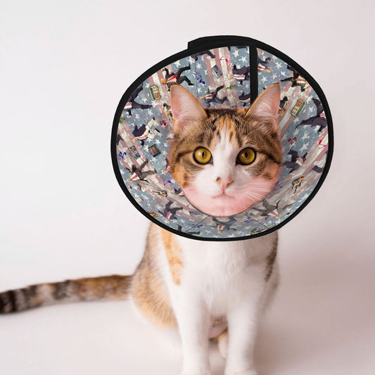Pet Elizabethan, Pet Medical Collar