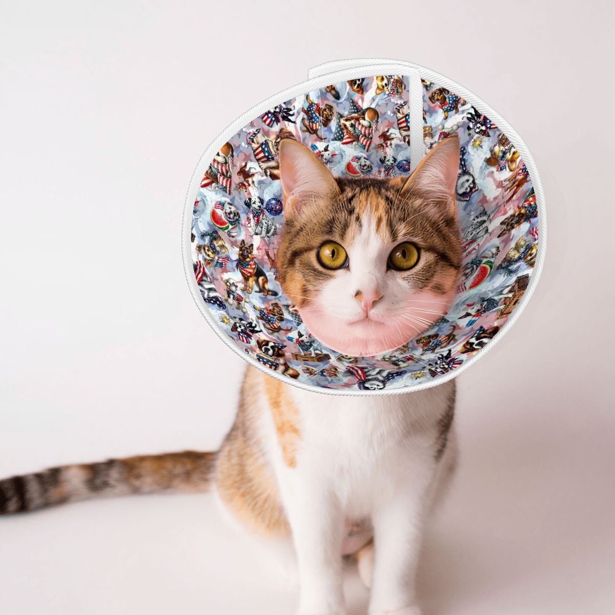 8 Patriot Designs, Pet Elizabethan, Pet Medical Collar