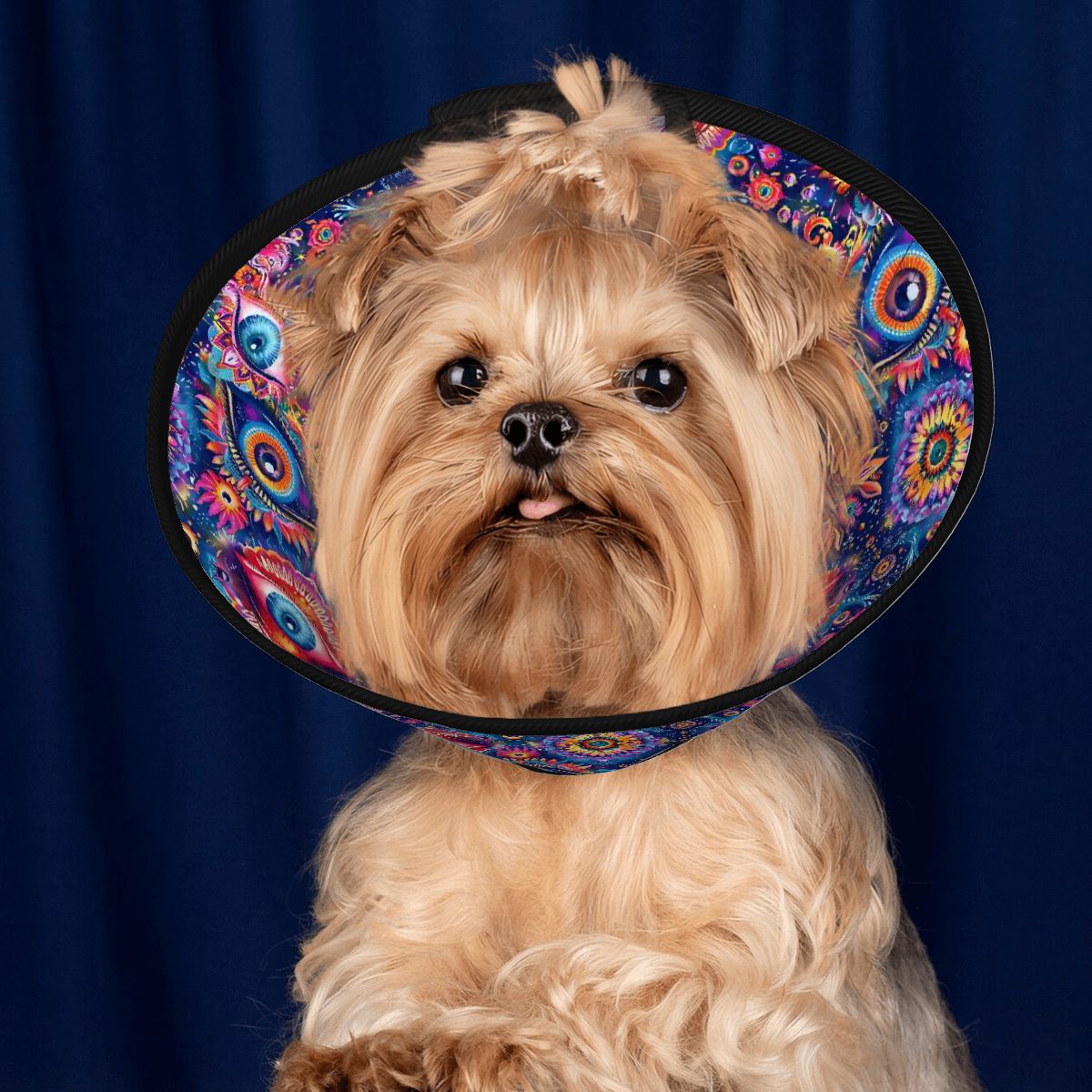 Psychedelic Design, Pet Elizabethan, Pet Medical Collar