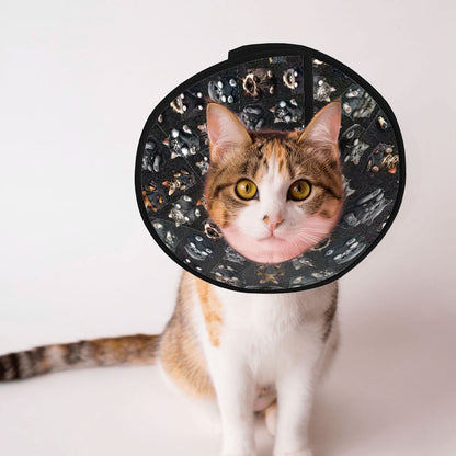 Pet Elizabethan, Pet Medical Collar