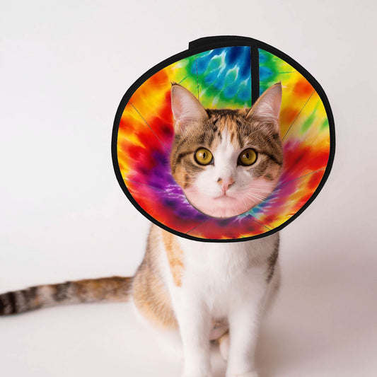 Pet Elizabethan, Pet Medical Collar