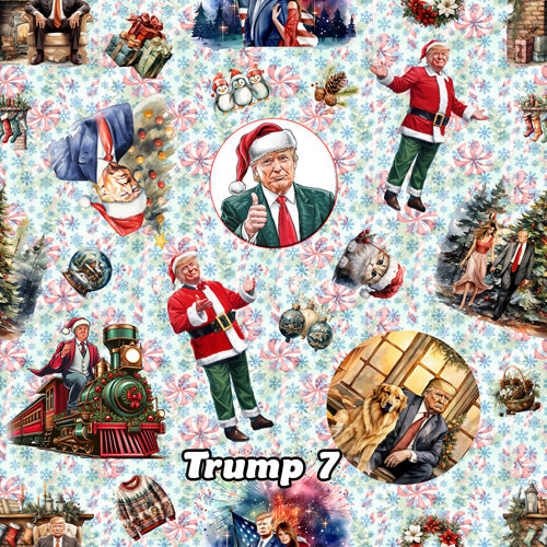 20 Donald Trump Designs, Adult Plush Santa Hat with Light